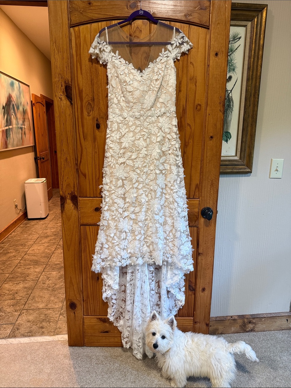 Tadashi Shoji Ivory Floral 3D Appliqué High-Low Wedding Gown